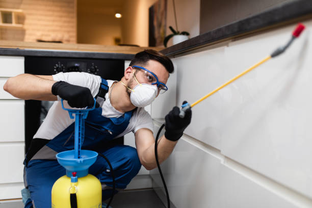Best Local Pest Control Services  in Winnsboro, SC