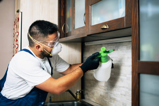 Best Termite Control Services  in Winnsboro, SC