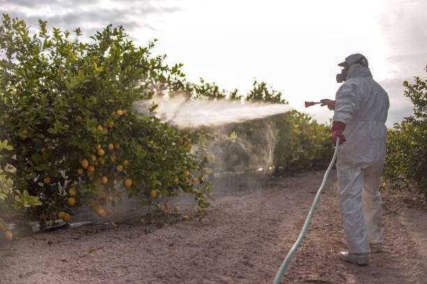 Reliable Winnsboro, SC Pest Control Solutions